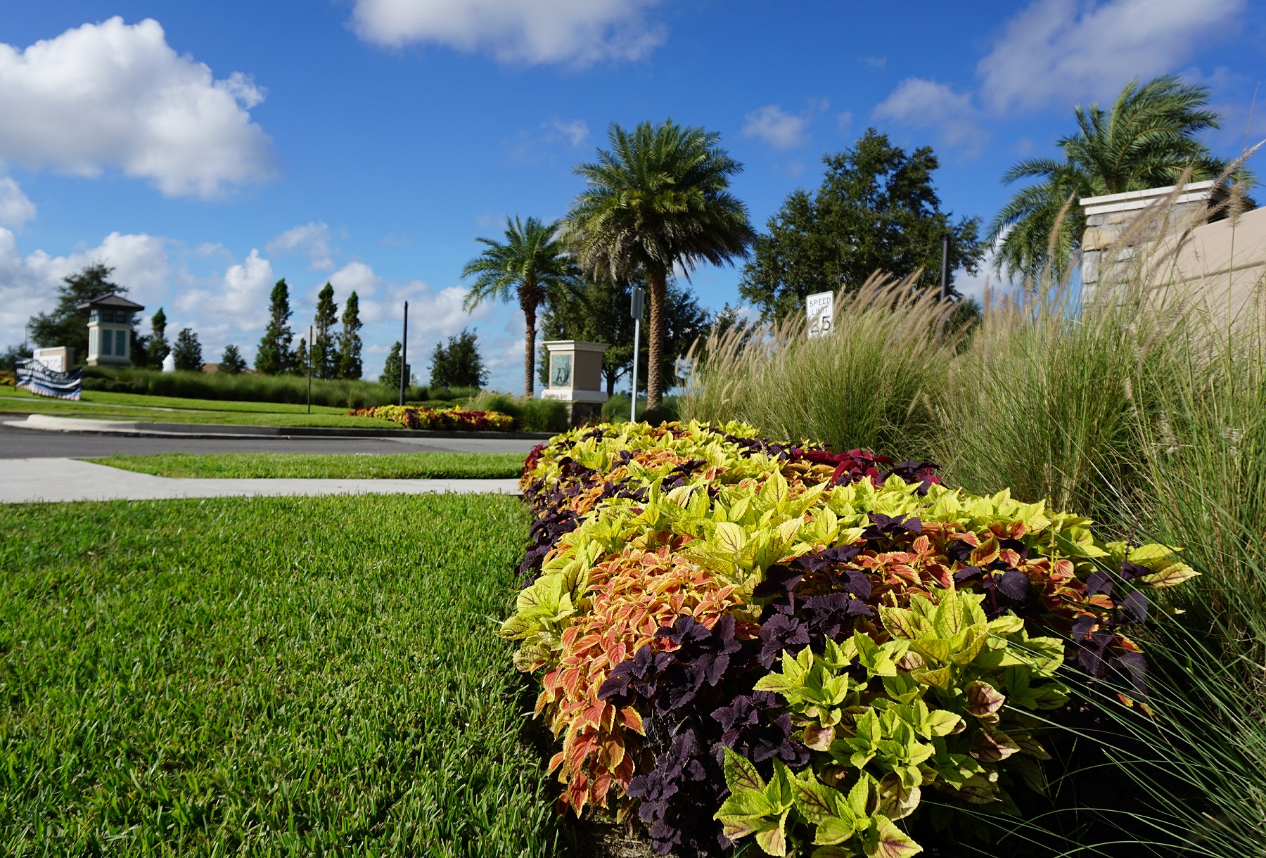 Commercial Landscaping Services in Charlotte, NC Yellowstone Landscape